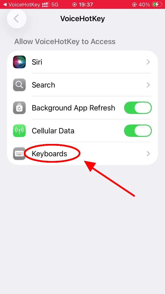 iOS 设置中显示 VoiceHotKey 权限
